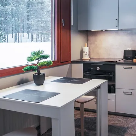 Usva Studio II Incl Washing Machine And Wifi Suomutunturi